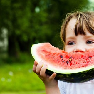 ENFOQUE A LA PRODUCCIÓN DE ALIMENTOS SANOS