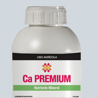 CA PREMIUM