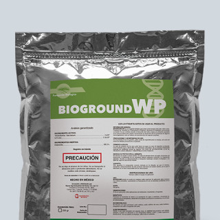 BIOGROUND WP