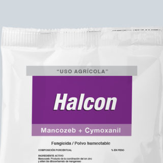 HALCÓN