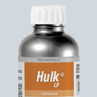 HULK LP