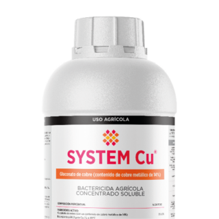 System Cu