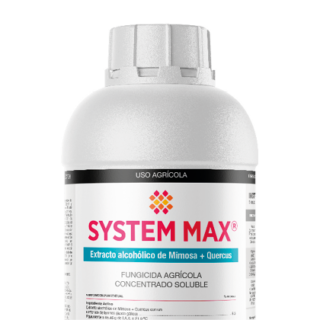 System Max