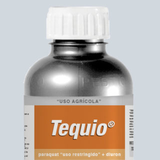 TEQUIO