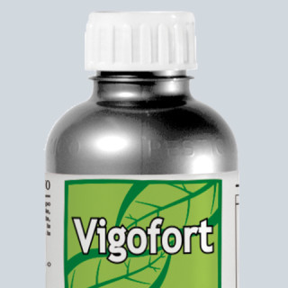VIGOFORT