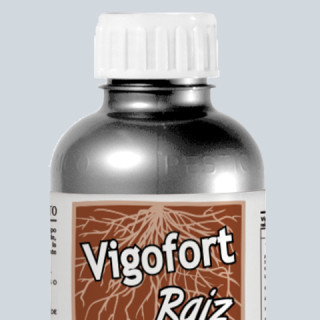 Vigofort Raíz