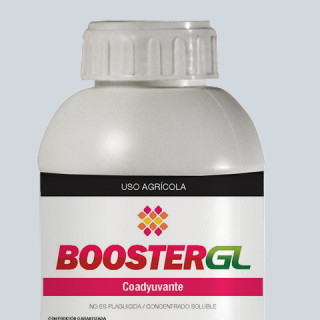 BOOSTER GL