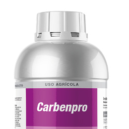 Carbenpro