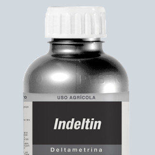 INDELTIN