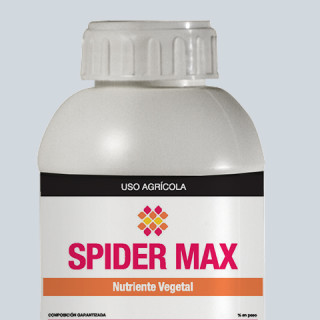 SPIDER MAX