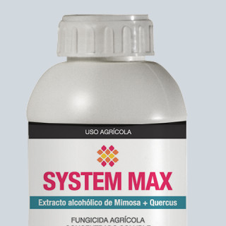 SYSTEM MAX