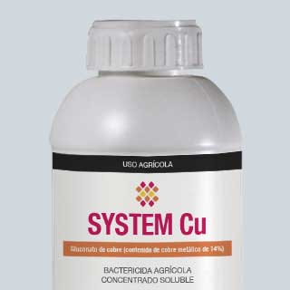 System Cu