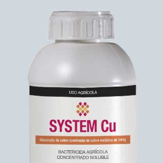 SYSTEM Cu