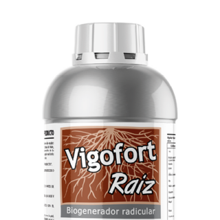 Vigofort Raíz