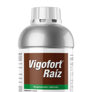 Vigofort Raíz