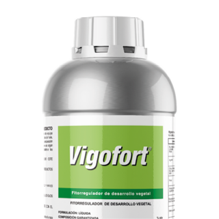 Vigofort