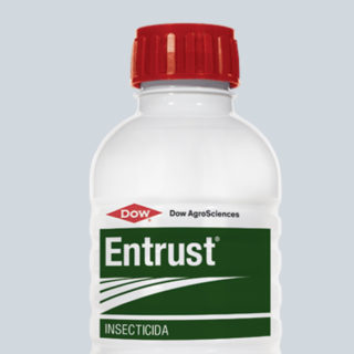 ENTRUST 240