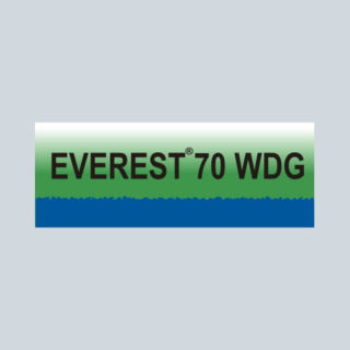 EVEREST 70 WDG