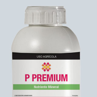 P PREMIUM