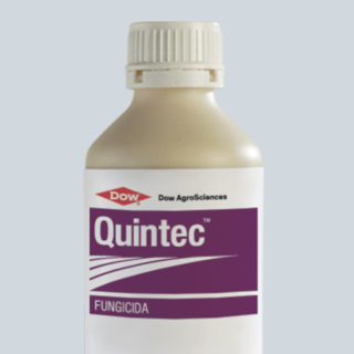 QUINTEC