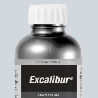 EXCALIBUR