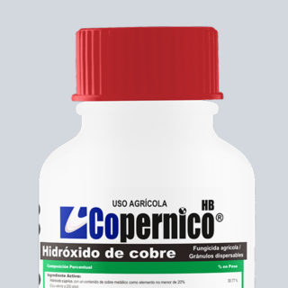 COPERNICO HB