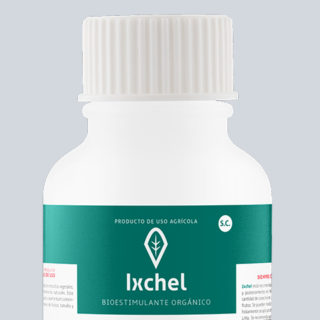 IXCHEL