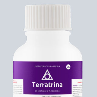 TERRATRINA