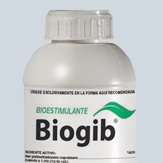 BIOGIB