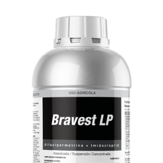 Bravest LP