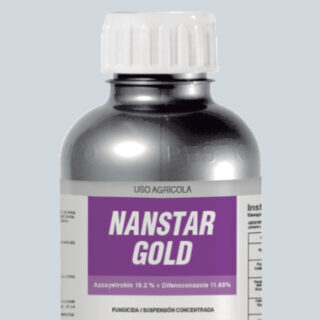 NANSTAR GOLD