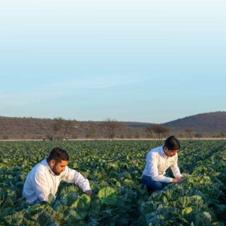 Asesoría Técnica