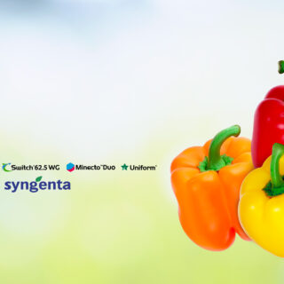 Syngenta