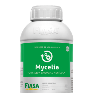 Mycelia