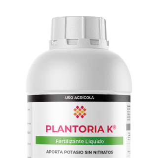 Plantoria K