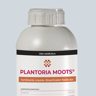 Plantoria Moots