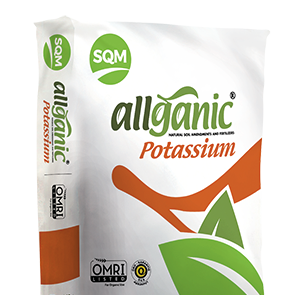 Allganic Potassium