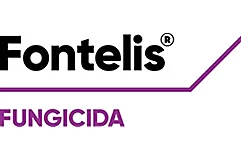 FONTELIS